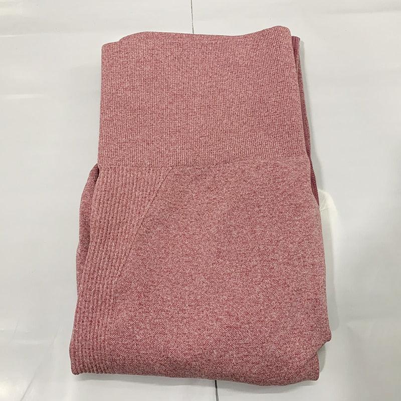 Gym Seamless Sports Pants - ENVYWEAR