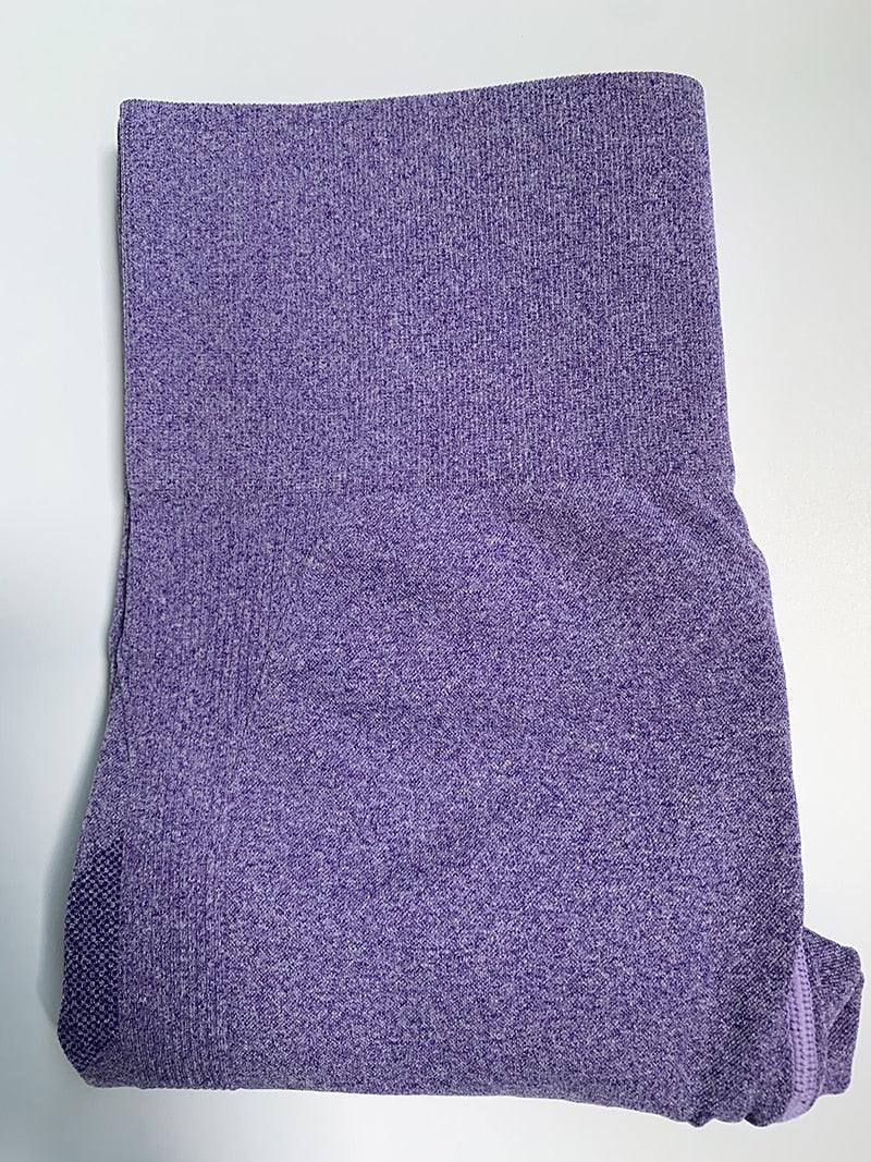 Gym Seamless Sports Pants - ENVYWEAR