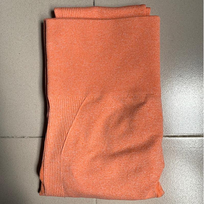 Gym Seamless Sports Pants - ENVYWEAR