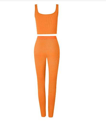 2 Piece Set Gym Active Wear - ENVYWEAR
