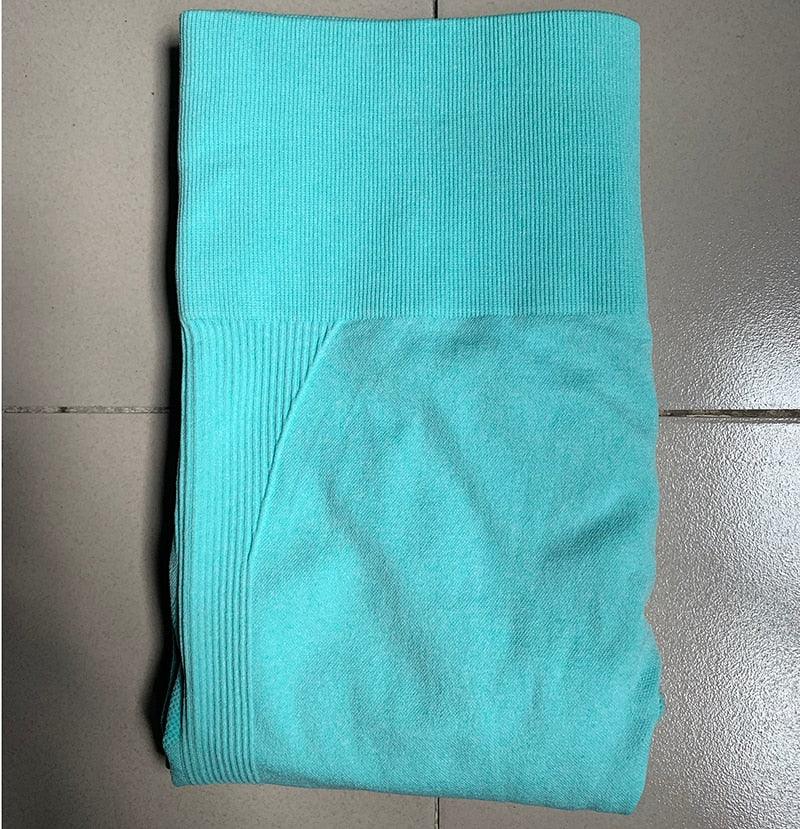 Gym Seamless Sports Pants - ENVYWEAR