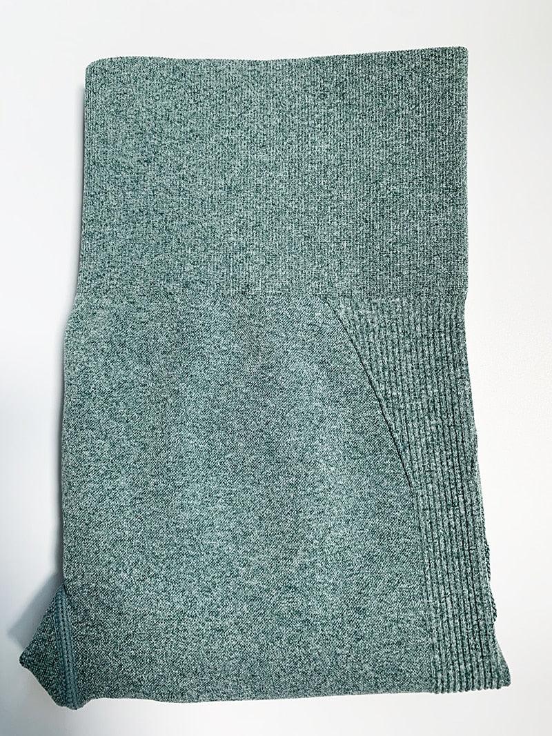Gym Seamless Sports Pants - ENVYWEAR