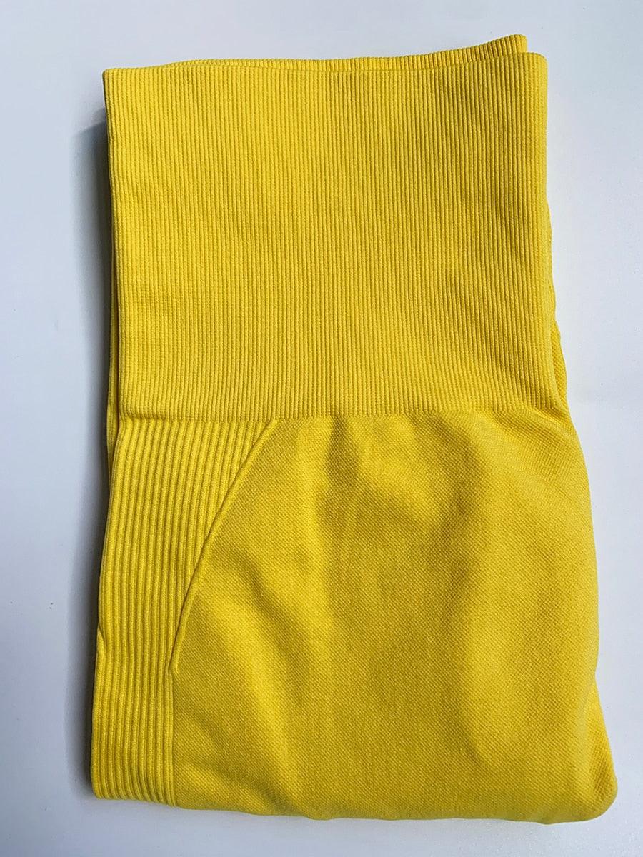 Gym Seamless Sports Pants - ENVYWEAR