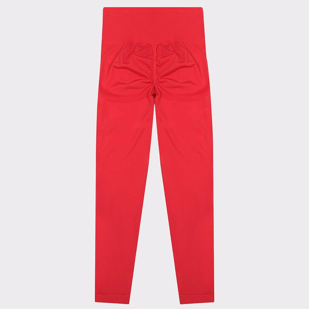 Gym Seamless Sports Pants - ENVYWEAR