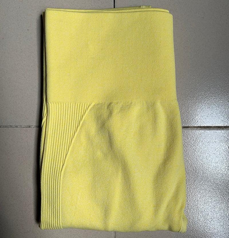 Gym Seamless Sports Pants - ENVYWEAR